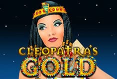 ViggoSlots game-thumb